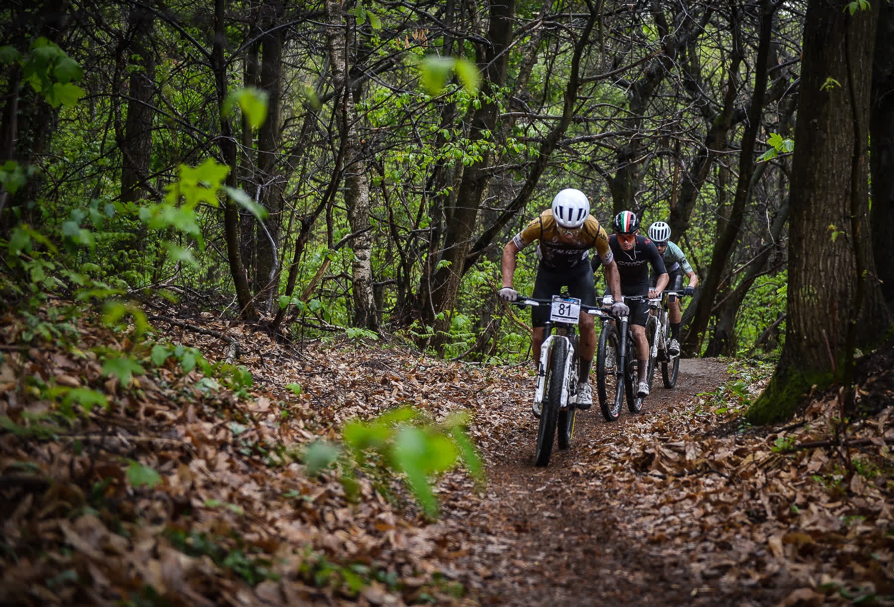 Un gruppo di ciclisti mountain bike in fila su un single-track sterrato nel bosco, lungo il tracciato della Gran Fondo MTB XTech Città di Brescia.